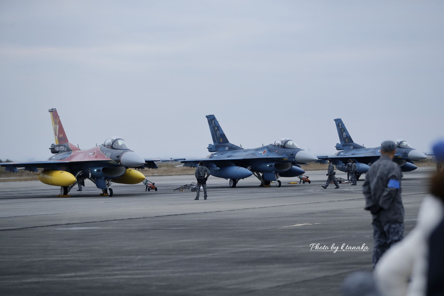 築城基地航空祭19 ヤマセミ カワセミ 野鳥 築城基地航空祭19 ヤマセミ カワセミ 野鳥