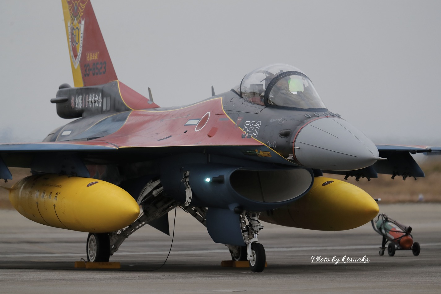 築城基地航空祭19 ヤマセミ カワセミ 野鳥 築城基地航空祭19 ヤマセミ カワセミ 野鳥