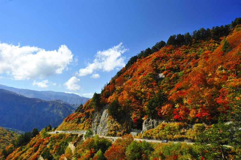 白山スーパー林道の紅葉 Shigano Biwazoh Photo Gallery