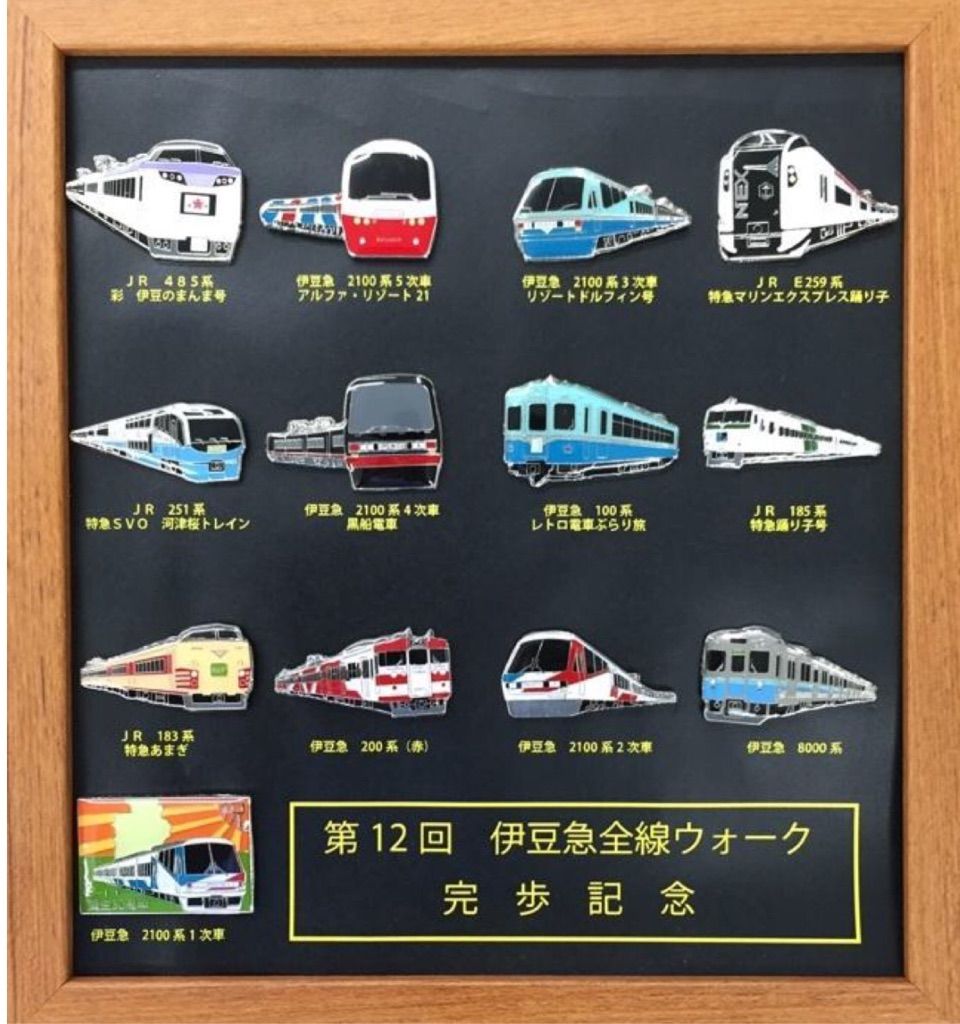 鉄道 伊豆急ピンバッチセット 伊豆急ピンバッジ、ワッペン、タオル