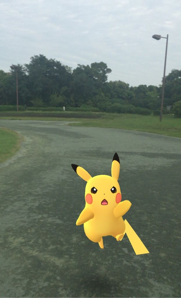 ポケモンgo 夢の島公園 って ピカチュウの巣だった 悪名高きオリンピック アーチェリー用の囲いが出来たってよ ヘーイ Hiro田のblog
