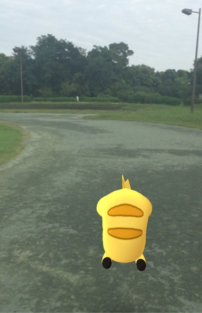 ポケモンgo 夢の島公園 って ピカチュウの巣だった 悪名高きオリンピック アーチェリー用の囲いが出来たってよ ヘーイ Hiro田のblog