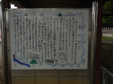 DSCN4746