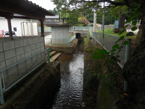 DSCN4745