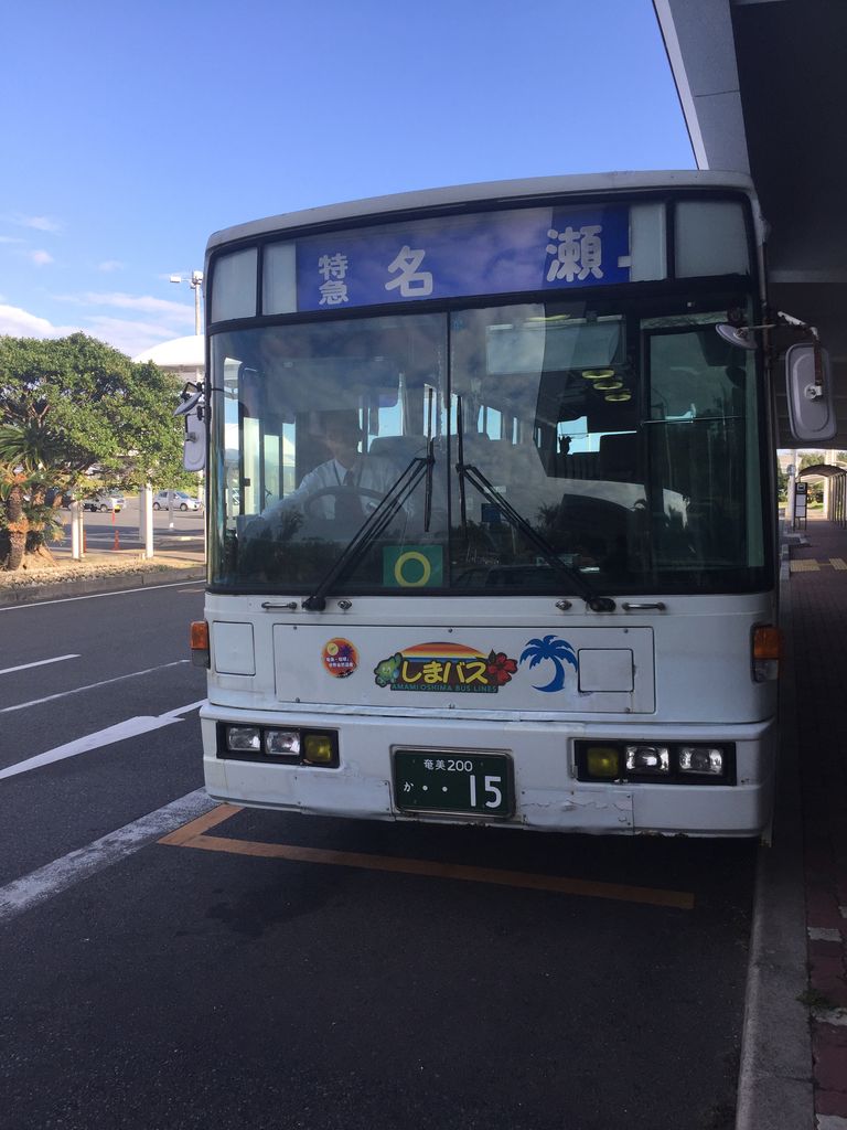 奄美大島 観光 車なし