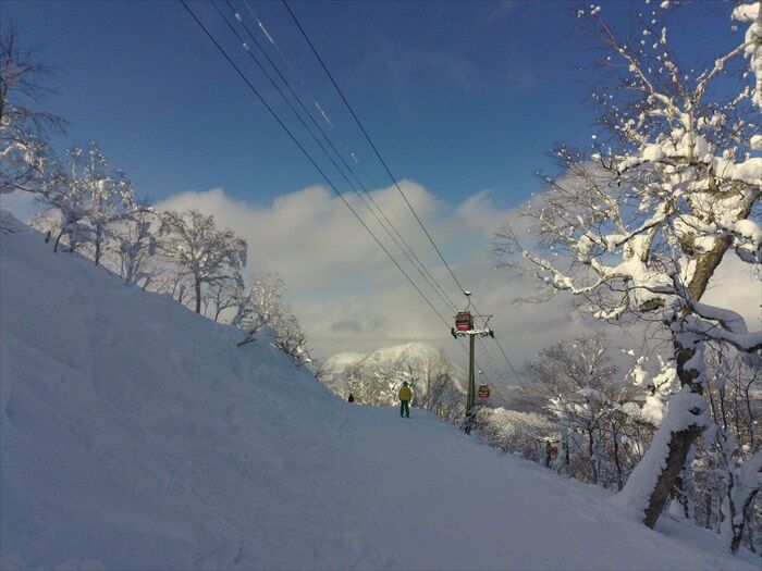 山 と 柴犬
