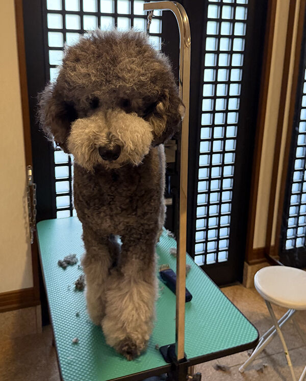 IMG_4254
