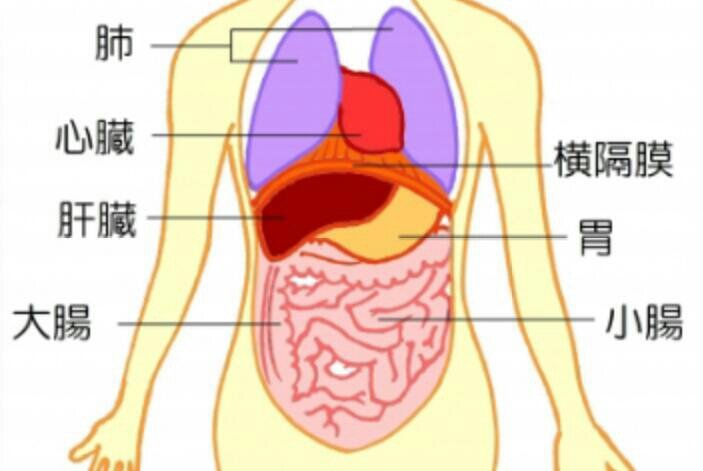 しゃっくりの止め方 上田尋の野望