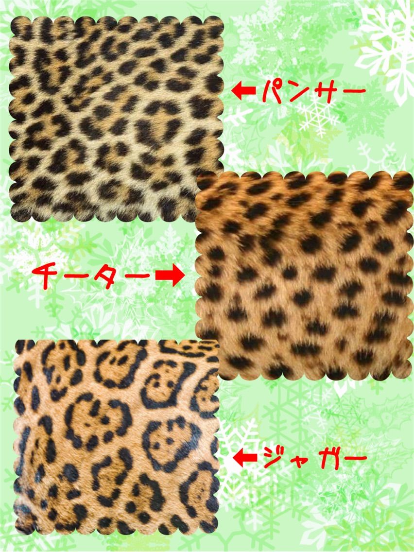 動物の柄 上田尋の野望