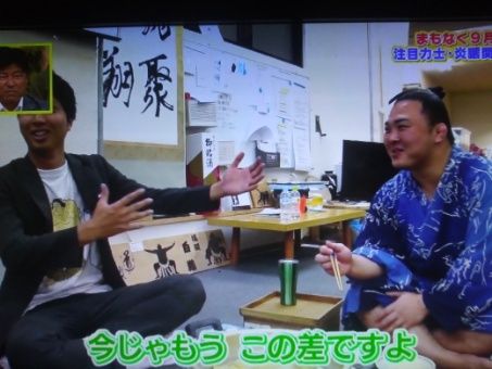せやねん の炎鵬特集 ルードの森 せやねん の炎鵬特集 ルードの森