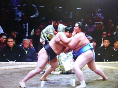 照強が撒く塩は1 1キロです V 初場所２日目 その２ ルードの森
