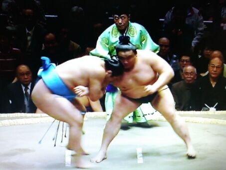 技の神髄 安美錦の出し投げ 11月場所7日目 中入り企画 ルードの森 技の神髄 安美錦の出し投げ 11月場所7日目 中入り企画 ルードの森
