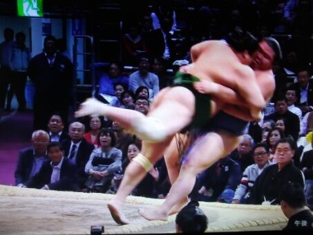 石浦の下手投げ 正代のうっちゃり 九州場所11日目 その1 ルードの森