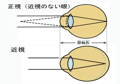 photo_5