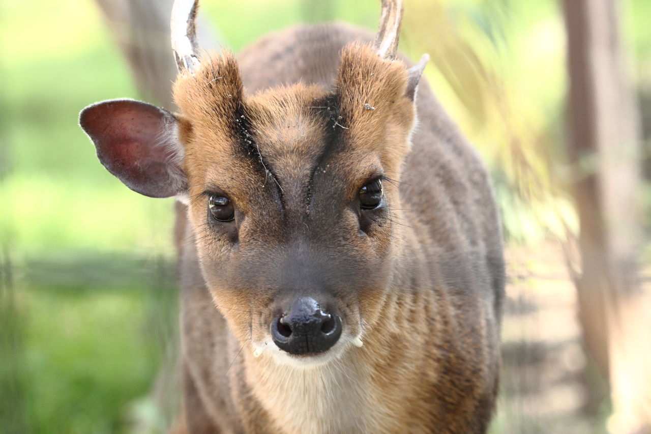 大森山公園へ カメラとおでかけ