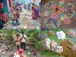 Pongal 1