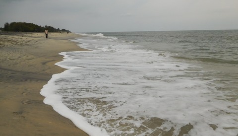 DSCN0647_1