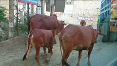 Screenshot_2015-01-31-18-40-01 (1024x576)