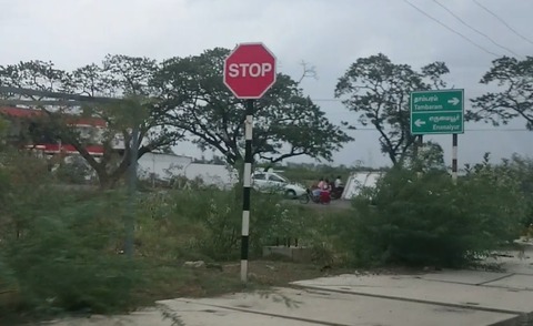 DSC 0061