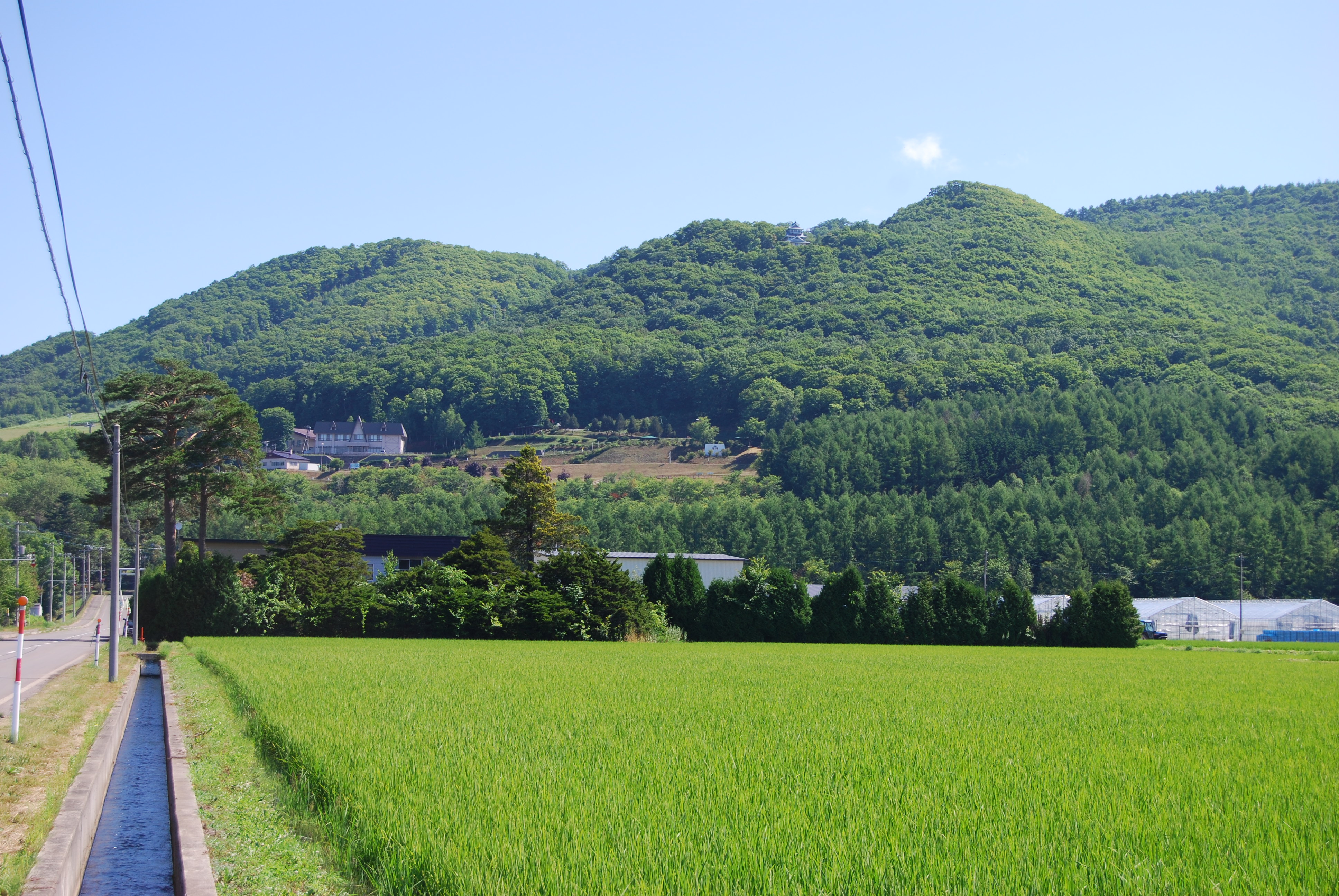 山の畑でコーヒータイム Hirobouの田舎暮らし