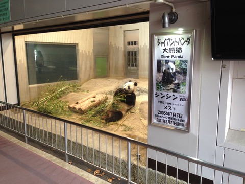 2014-7-17上野動物園