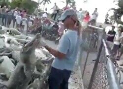 ワニの群れに餌をあげてる飼育員 ⇒何が起こる？