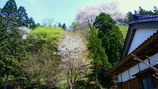 a03226d2.jpg
