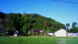 e35350cd.jpg