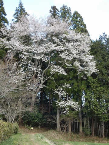 2019-04-22-16-08-14-0