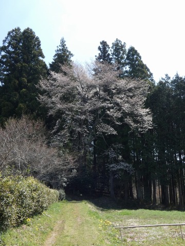 2019-04-22-10-27-23-0