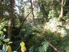 ばてる