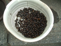 DSCF2986