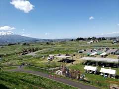 りんご公園一面