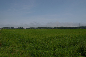 tohoku01