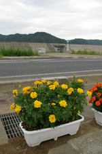 tohoku09