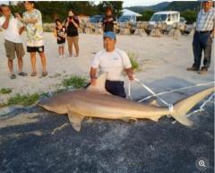 格闘1時間 海岸で2.5メートルのサメ釣って住民らで食べた 沖縄