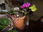 P1050409