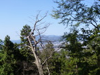P1040418