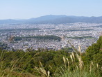 P1040422