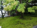 DSC07259
