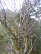 P1060338