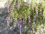 P1040415