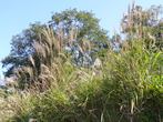 P1040425