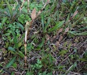 DSC00278