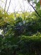 DSC06028