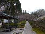 P1040291