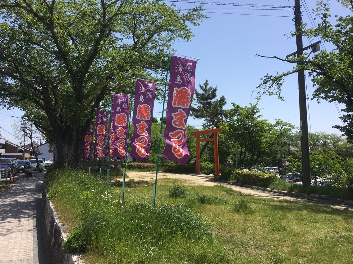 尾張津島 藤まつり に行ってきました いつもどこかで