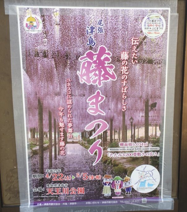 尾張津島 藤まつり に行ってきました いつもどこかで