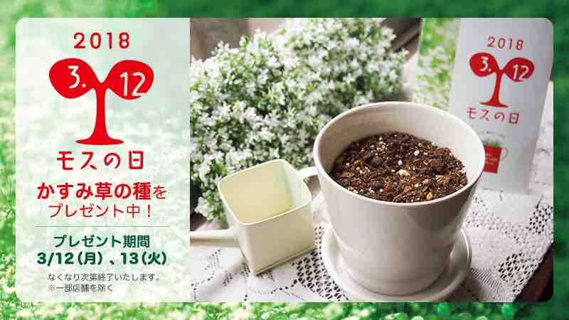 ３月12日は モスの日 です いつもどこかで