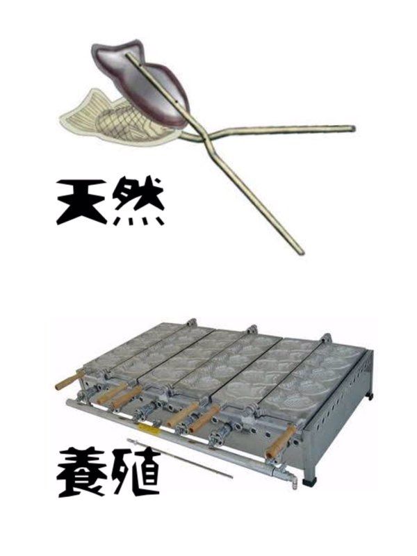 天然 と 養殖 どちらを選びますか いつもどこかで 天然 と 養殖 どちらを選びますか いつもどこかで